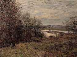 The Roches-Courtaut Wood Near By