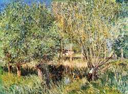 Willows On The Banks Of The Orvanne