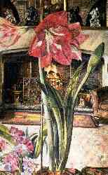 Amaryllis In Chauntry Court