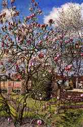 Landscape With Magnolia - Odney Club