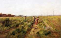 In The Berry Field