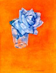 White Rose In Glass