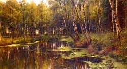 A Woodland Pond