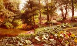 The Path On The River-s Edge
