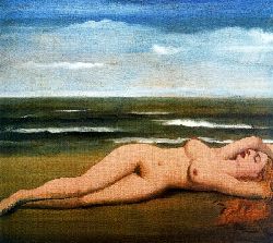 Desnudo En La Playa