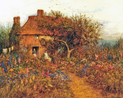 A Summer Garden