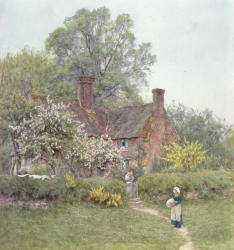 Cottage At Chiddingfold